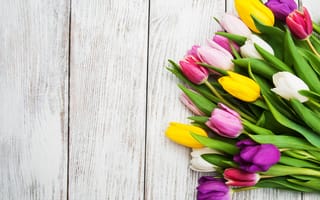 Картинка цветы, букет, flowers, colorful, tulips, spring, pink, тюльпаны
