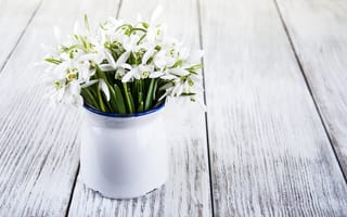 Картинка цветы, букет, белые, flowers, snowdrops, spring, подснежники, white