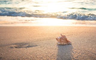 Картинка песок, море, релакс, волны, настроение, пляж, природа, свет