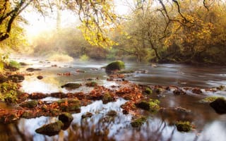 Картинка осень, свет, природа, камни, ветки, водоем