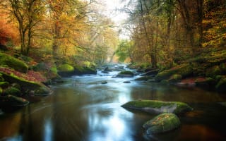 Картинка осень, лес, камни, берег, река, листва, водоем, речка
