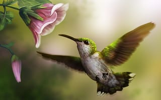 Картинка арт, розовый, цветок, птица, колибри