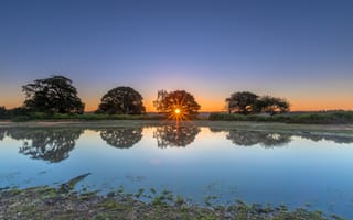 Картинка солнце, лучи, водоем, закат, отражение, берег, деревья