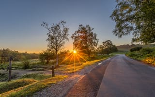 Картинка дорога, лето, закат, шоссе, свет, солнце, лучи, деревья