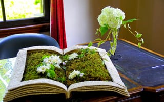 Картинка Книга, растения, стол, трава, цветок