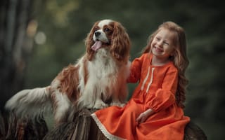 Картинка радость, пёс, Юлия Кубар, животное, пень, природа, спаниель, девочка, ребёнок, собака