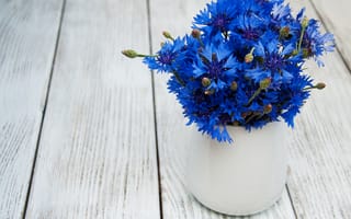 Картинка букет, ваза, Olena Rudo, васильки