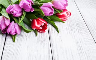 Картинка цветы, букет, purple, tulips, тюльпаны, spring, wood, colorful, flowers