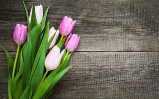 Обои цветы, букет, flowers, spring, тюльпаны, pink, wood, colorful, tulips