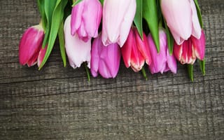 Картинка цветы, букет, tulips, pink, тюльпаны, flowers, colorful, wood