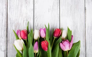Картинка цветы, букет, tulips, flowers, pink, wood, colorful, тюльпаны
