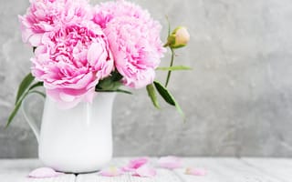 Картинка цветы, розовые, пионы, pink, wood, flowers, peonies