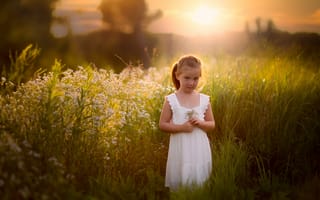 Картинка девочка, поле, лето, трава