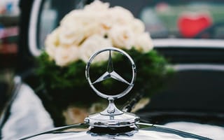 Обои Mercedes, свадебный, букет, розы, белые, значок