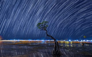 Картинка небо, звезды, горизонт, деревья, берег, ночной, огни, ночь