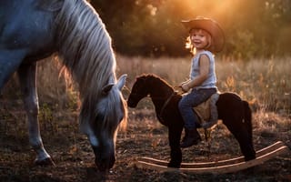 Картинка мальчик, наездник, шляпа, качалка, конь, лошадка, лошадь