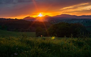 Картинка поле, лес, трава, закат, лето, горы, луг, холмы