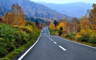 Картинка осень, горы, дорога, шоссе, лес, деревья