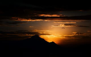 Картинка закат, птица, небо, горы