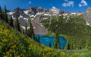 Картинка деревья, цветы, озеро, Lower Blue Lake, горы, Голубое Озеро, Rocky Mountains, Colorado, Колорадо, Скалистые горы
