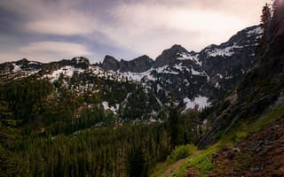 Картинка лес, небо, вершины, горы, снег