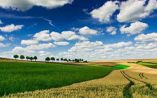 Картинка поле, небо, горизонт, деревья, облака, ферма