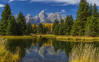 Картинка США, осень, Wyoming, Grand Teton, деревья, трава, озеро, горы, лес, отражение