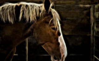 Картинка Electric Horse, конь, морда, лошадь