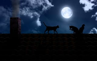 Картинка ночь, полнолуние, темнота, луна, черные, кошки, труба, крыша