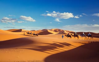 Картинка песок, небо, караван, доставка Алиэкспресс, пустыня, тени, облака