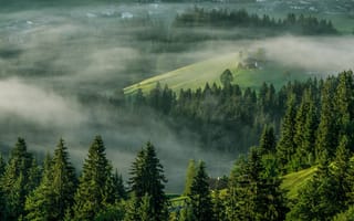 Картинка Ellmau, деревья, Эльмау, Тироль, туман, Австрия, Alps, Tirol, Альпы, Austria, утро