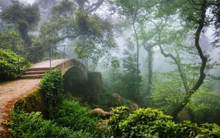 Картинка лес, дымка, мост, Португалия, Синтра