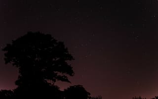 Картинка космос, деревья, ночь, звезды