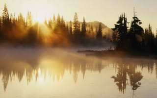 Картинка morning, river, fog, sunrise, trees