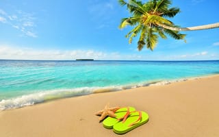 Картинка summer, shore, море, песок, beach, palms, sea, paradise, пляж, sand, tropical, берег