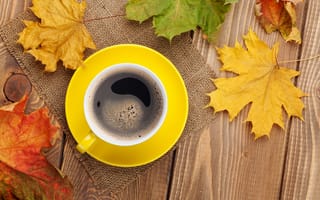 Обои autumn, чашка, кофе, maple, leaves, осень, cup, coffee, осенние листья, клён, fall