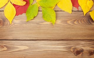 Картинка autumn, осенние листья, texture, дерево, wood, colorful, leaves