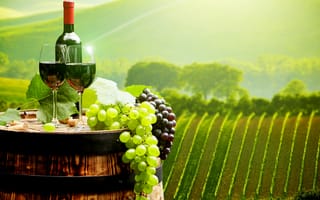 Картинка пейзаж, бочка, плантации, бокалы, виноград, вино, поля, пробки, бутылка