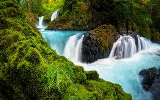 Обои Spirit Falls, река, лес, ущелье реки Колумбия, штат Вашингтон, папоротник, каскад, водопад, мох, камни, Columbia River Gorge, Washington