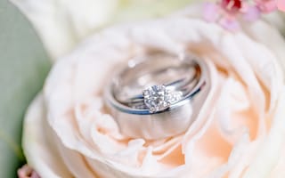 Картинка кольца, свадьба, цветок, помолвка