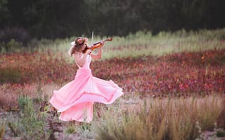 Обои девушка, скрипка, лето, музыка