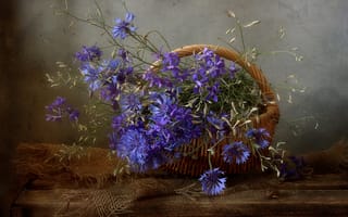 Картинка цветы, синий, темный, букет, голубой, мешковина, натюрморт, корзинка