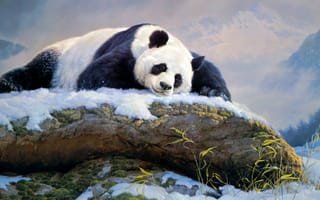 Картинка зима, снег, рисунок, камни, медведь, поза, картина, сон