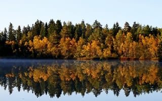 Картинка Осень, деревья, отражения, озеро, сентябрь, лес