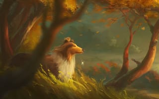 Картинка собака, медальон, деревья, лес, осень, колли, ветер, art