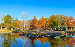 Картинка Clark Gardens, США, листья, деревья, багрянец осень, пруд, ботанический парк, Техас