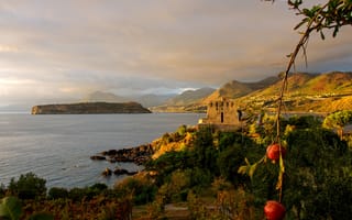 Картинка tower, sea, San Nicola Arcella, landscape, Italy, pomegranates, Calabria, mediterranean, nature, Cosenza, plants