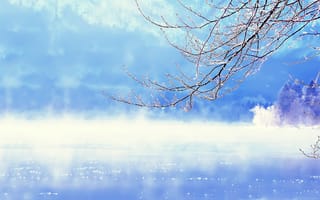 Картинка снег, озеро, ветки, Slovenia, дерево, Lake Bohinj, зима, Словения, вода