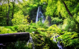 Картинка зелень, лес, лето, поток, бревно, листва, водопад