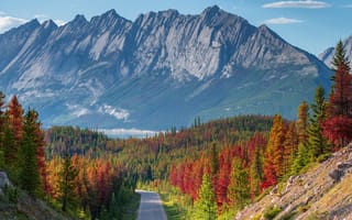 Картинка дорога, осень, лес, склон, вид, горы, вершины, шоссе